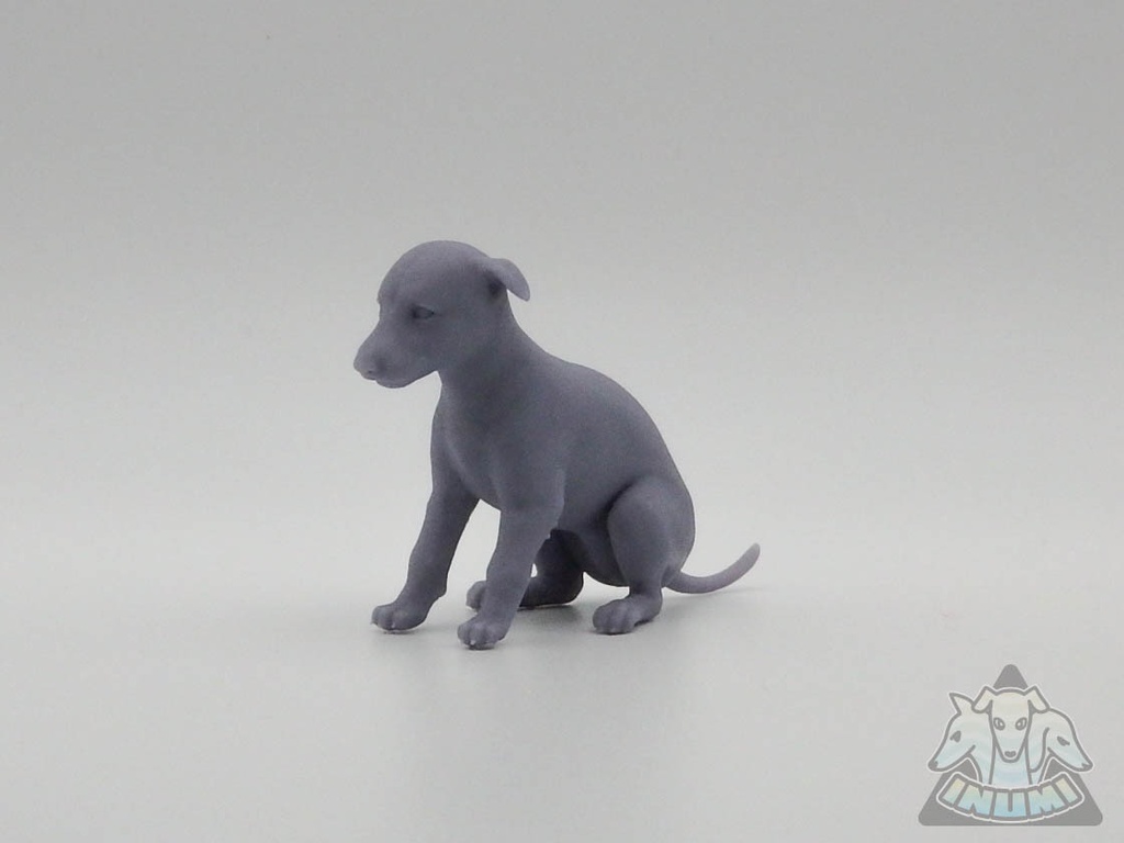 ボルゾイ仔犬_1/6スケールワンちゃん_ガレージキット