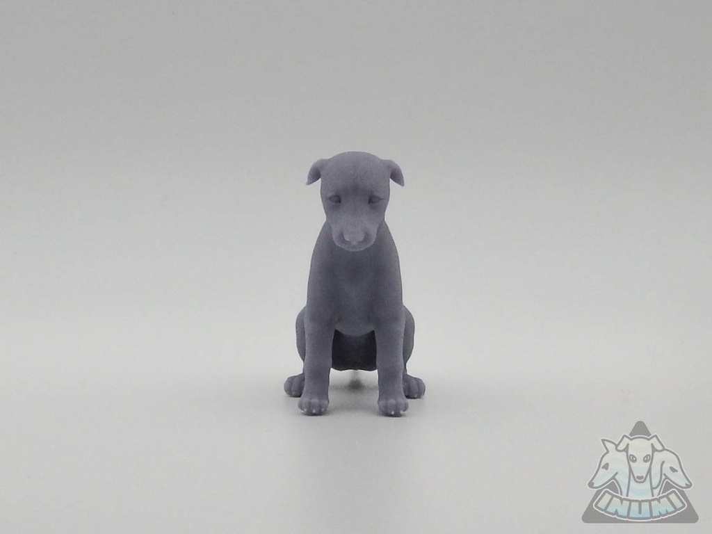 ボルゾイ仔犬_1/6スケールワンちゃん_ガレージキット