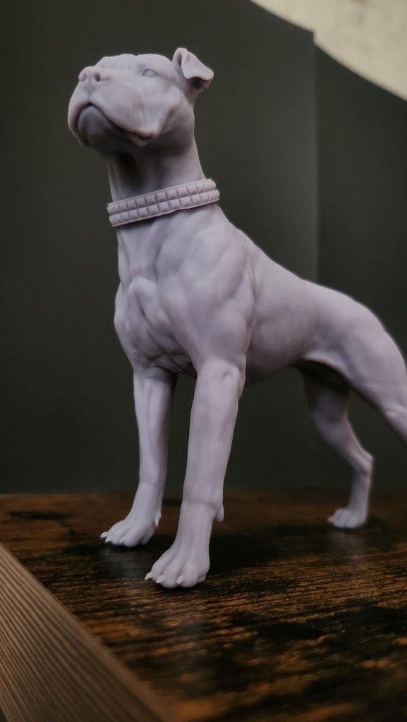 ピットブル_1/6スケールワンちゃん_ガレージキット