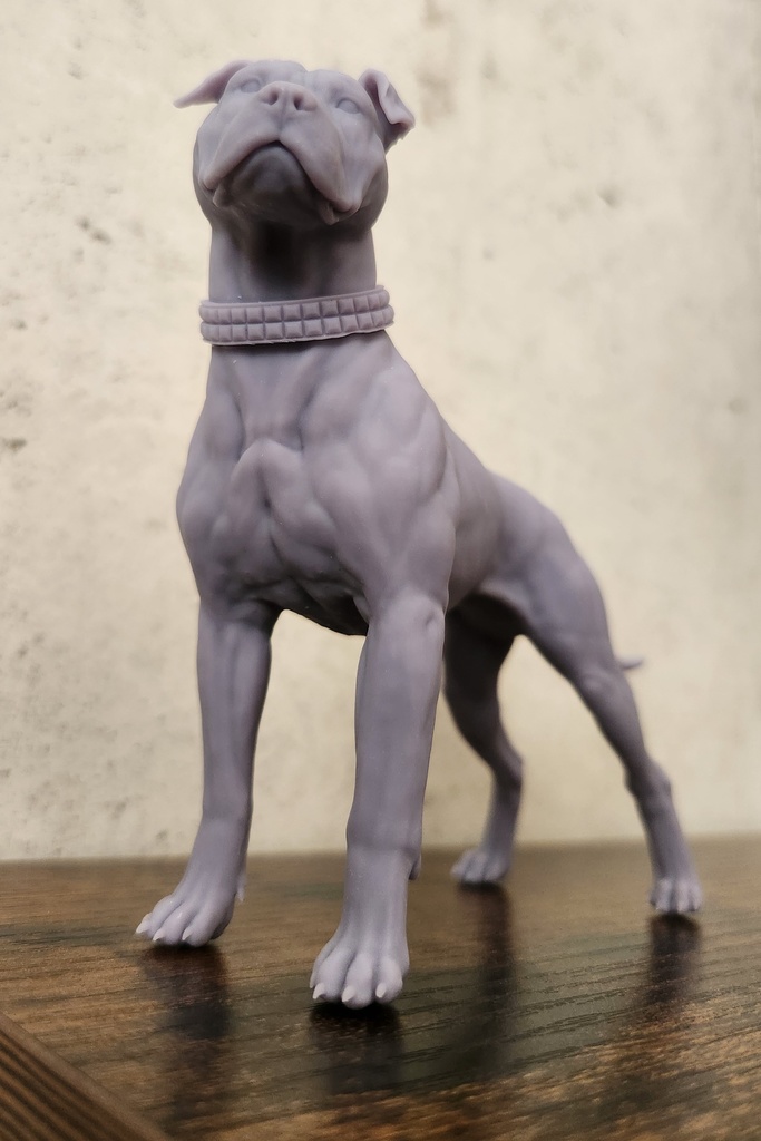 ピットブル_1/6スケールワンちゃん_ガレージキット