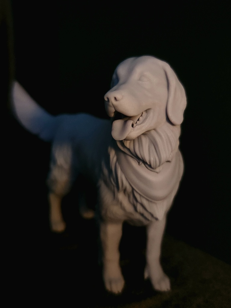 ゴールデンレトリバー_1/6スケールワンちゃん_ガレージキット