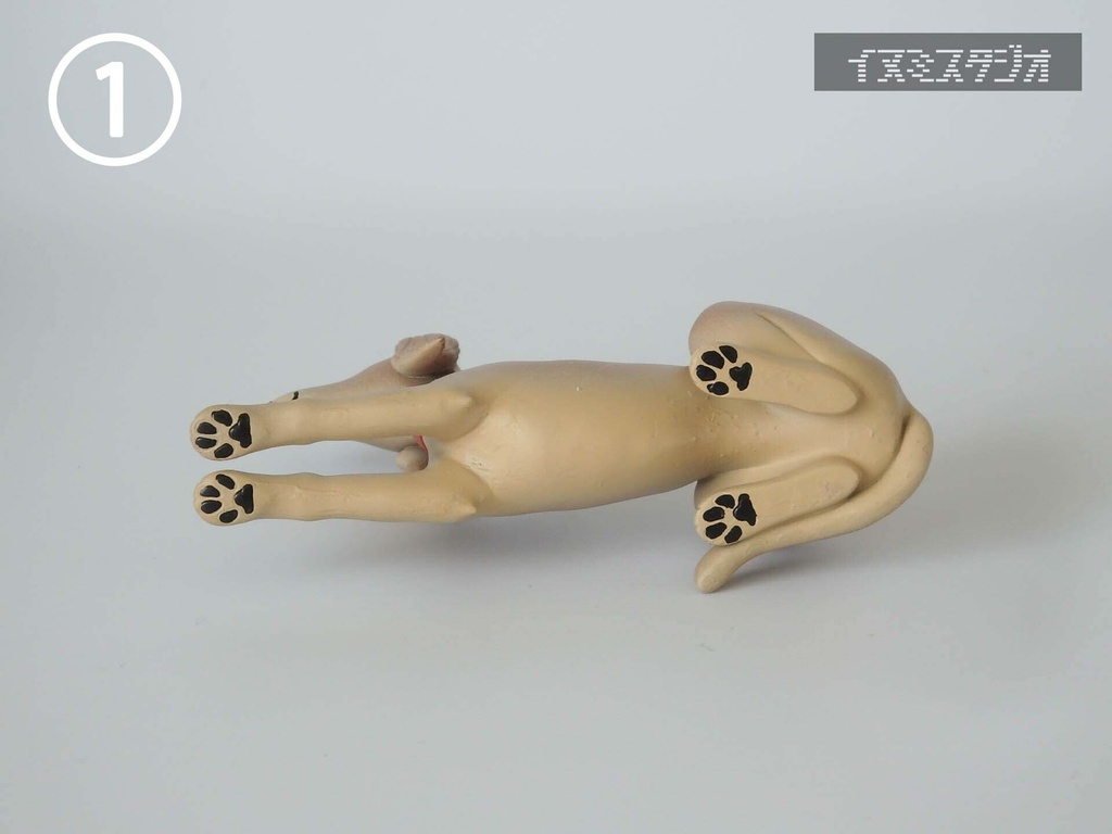 デフォルメ調サルーキ‗完成品