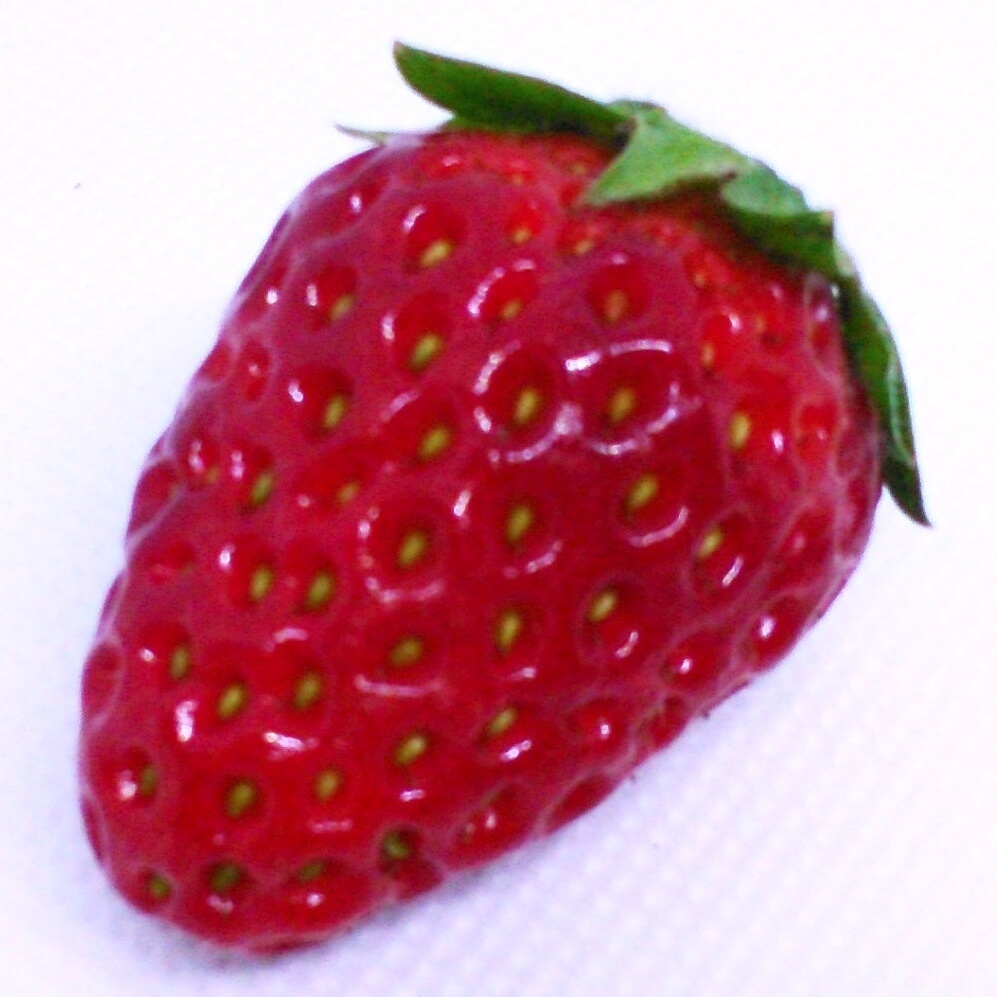 フルダイブシステム構築理論