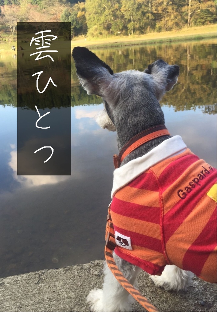 【電子版】雲ひとつ