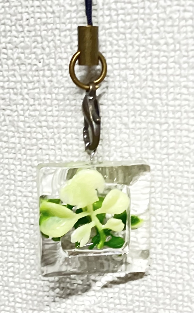 葉っぱさんシリーズ