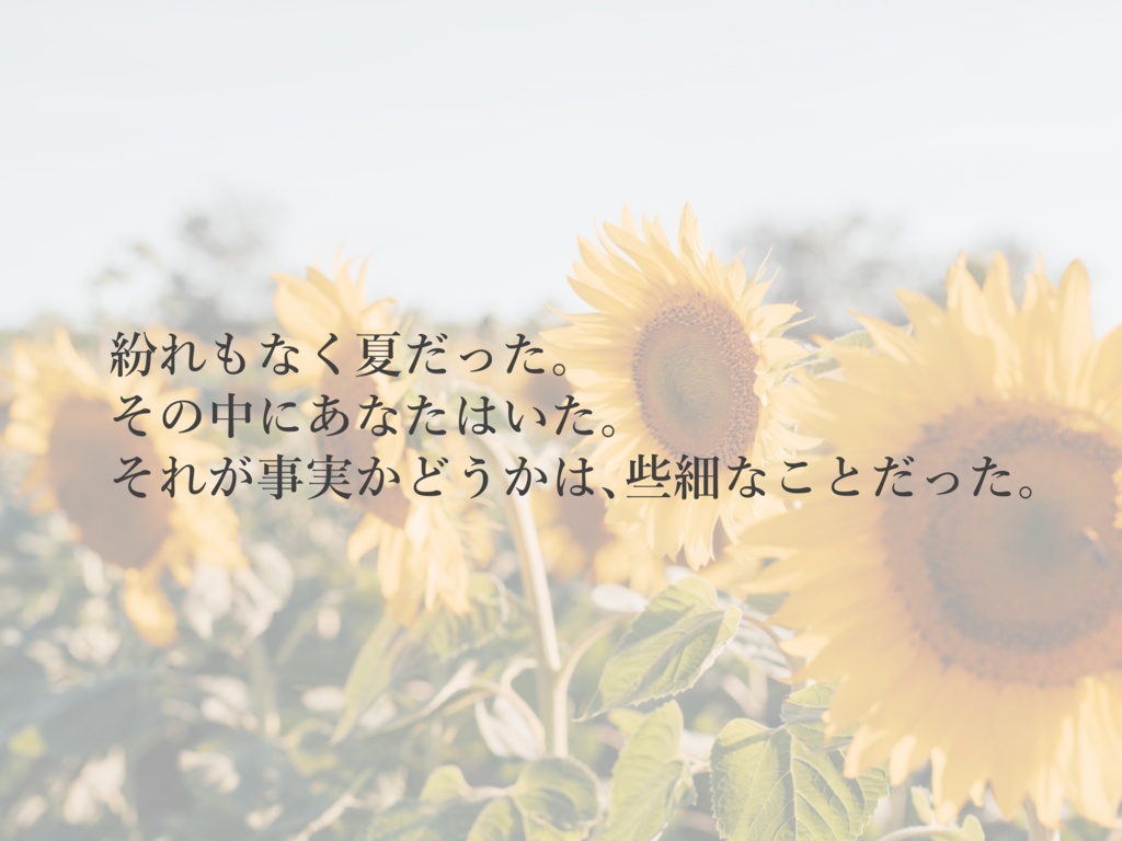 【体験版あり】Lossy Compressing SPLL:E190955