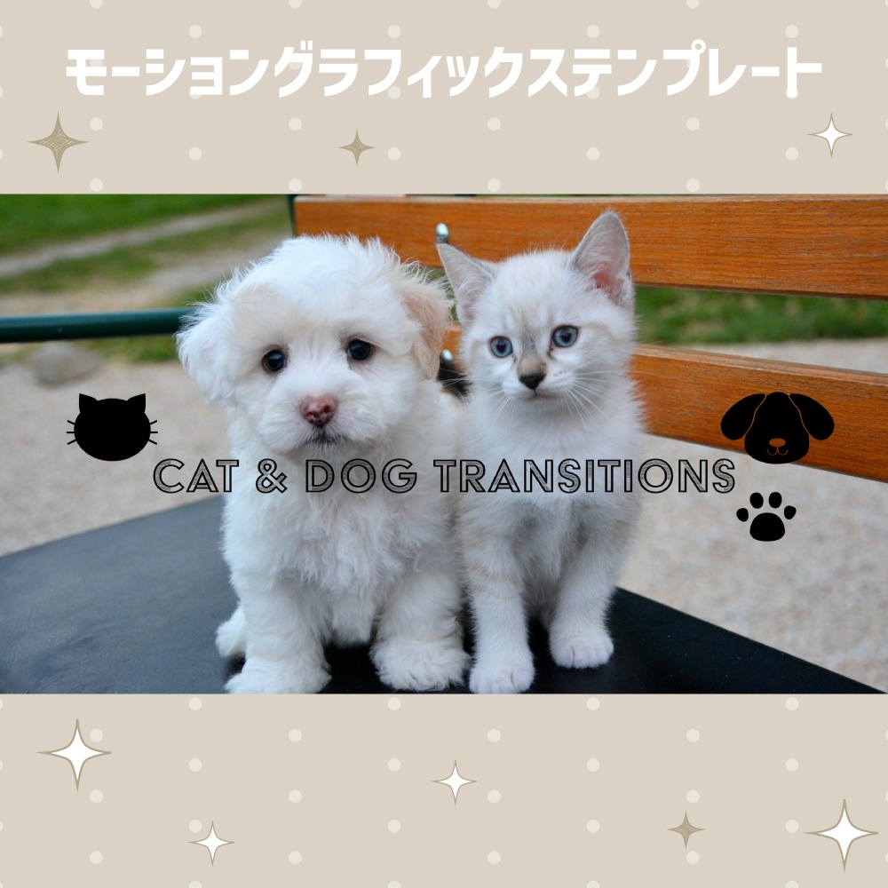 ネコとイヌのトランジション【モーショングラフィックステンプレート】