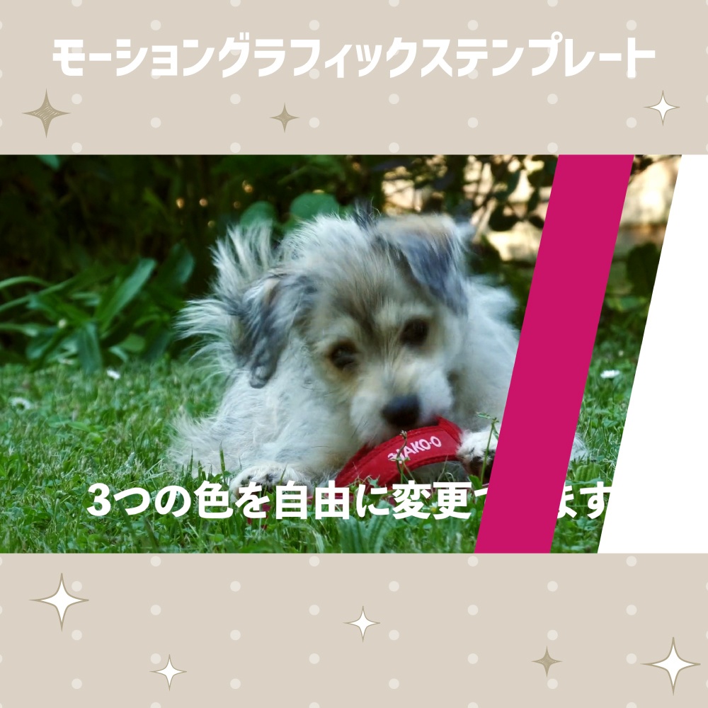 ライン付き四角形トランジション【モーショングラフィックステンプレート】