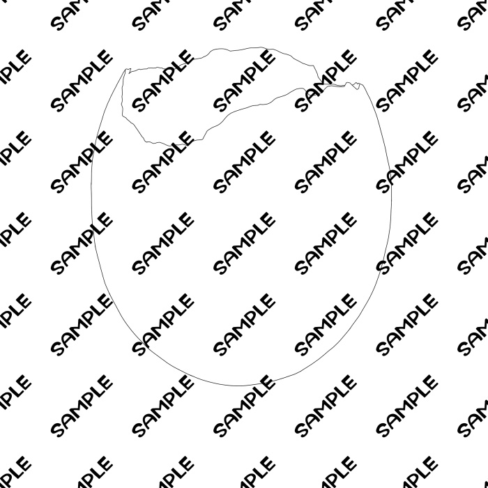 卵の殻 線画素材・商用利用OK