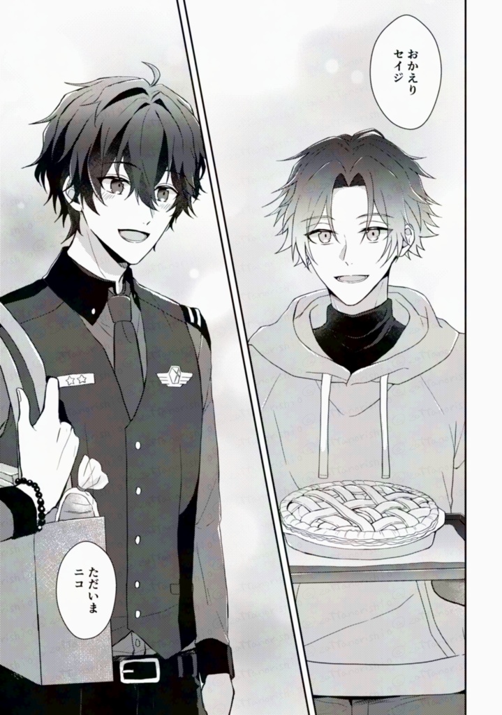 【セイニコ】ハイブッシュブルーベリー