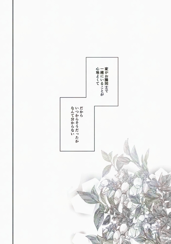 【セイニコ】ハイブッシュブルーベリー