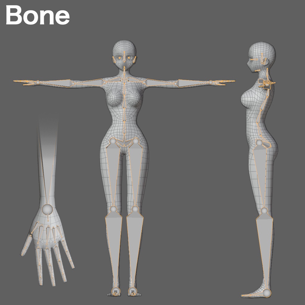 女性3Dキャラクターモデル素体(スキニング済+表情シェイプキー18種)