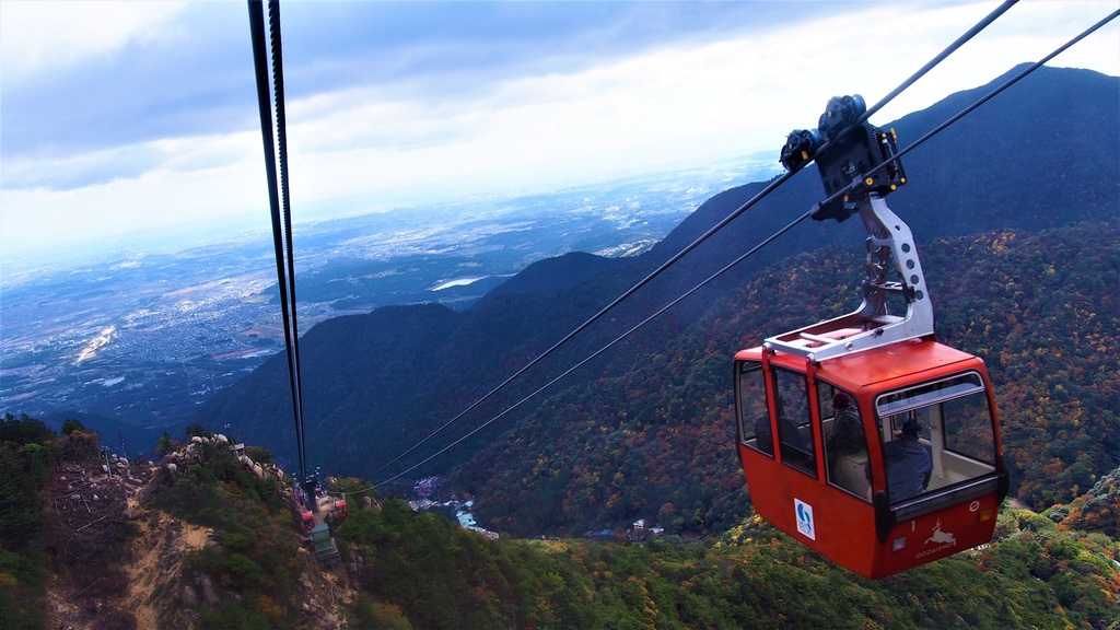 ろーぷうぇいの写真 キッズTシャツ