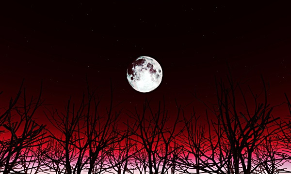 平成30年北海道胆振東部地震復興支援3DCG 星空 No16