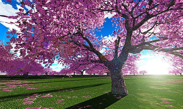 災害復興支援3DCG 桜 No105