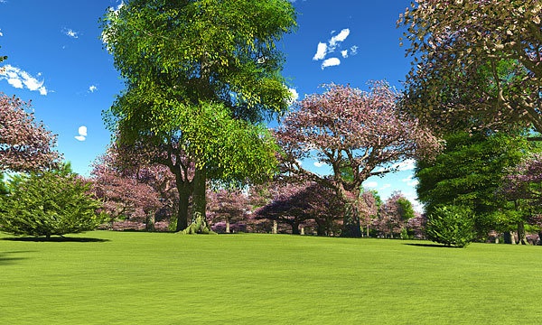 災害復興支援3DCG 桜 No108