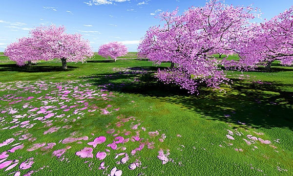 災害復興支援3DCG 桜 No111