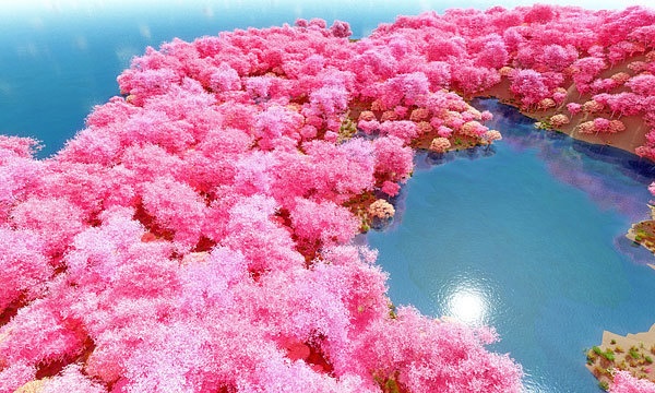 災害復興支援3DCG 桜 No118