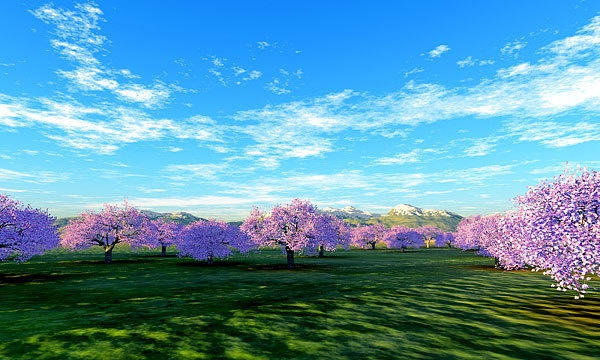 災害復興支援3DCG 桜 No125