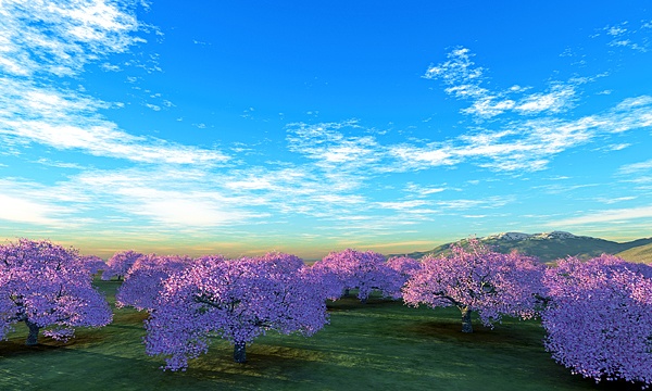 災害復興支援3DCG 桜 No126