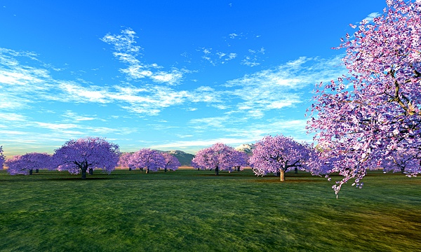災害復興支援3DCG 桜 No127