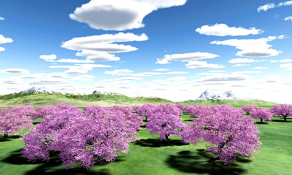 災害復興支援3DCG 桜 No129
