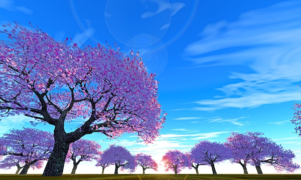 災害復興支援3DCG 桜 No140