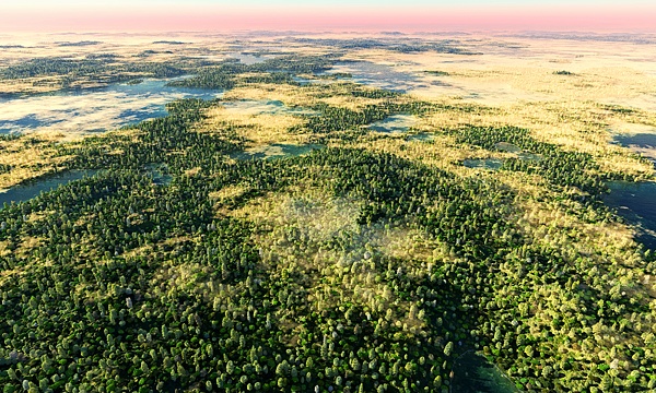 災害復興支援3DCG 未開の地 No41