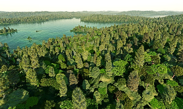 災害復興支援3DCG 未開の地 No42