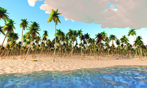 災害復興支援3DCG　夏の海 No83