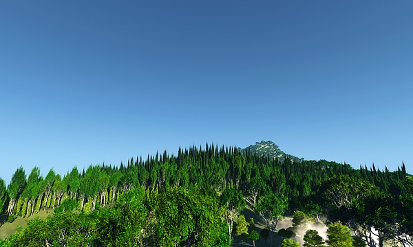 災害復興支援3DCG　北の大地の原生林 No22