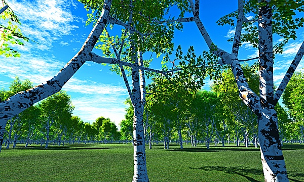 災害復興支援3DCG　春の森 No11