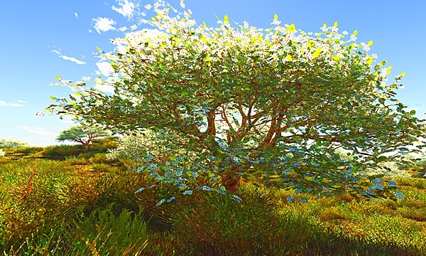 災害復興支援3DCG　鬱金桜 No5