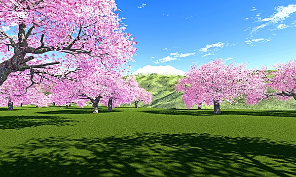災害復興支援3DCG　桜 No143