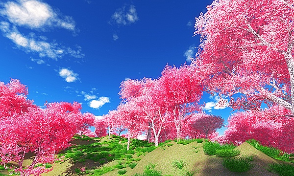 災害復興支援3DCG　桜 No146