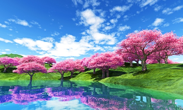 災害復興支援3DCG　桜 No152