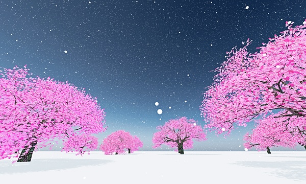 災害復興支援3DCG　桜 No155