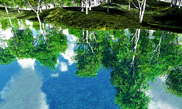 災害復興支援3DCG　森 No17