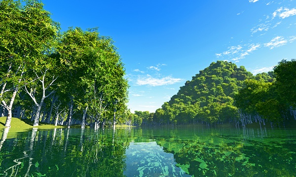 災害復興支援3DCG　森 No27