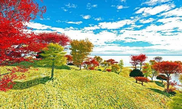 森 No47_rpl