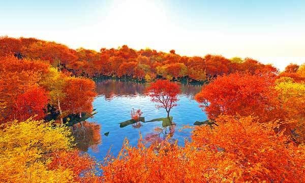 森 No47