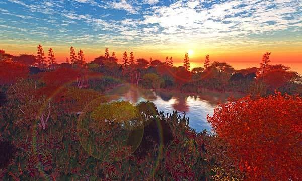 森 No48