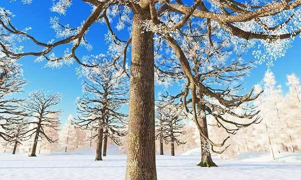 「鬼滅の刃」に出てきそうな背景 No4