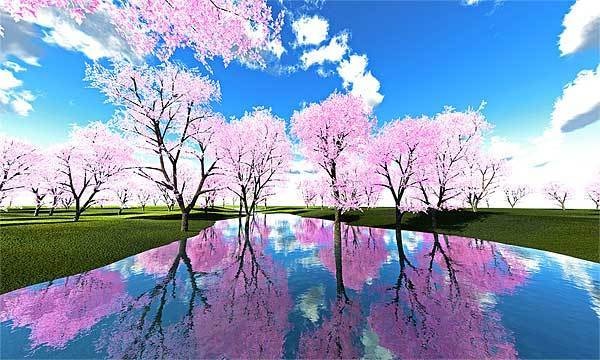 桜 No157