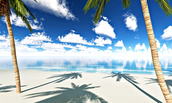 夏の海 No4