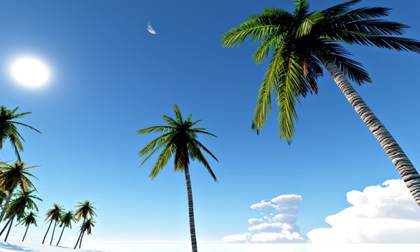 夏の海 No26