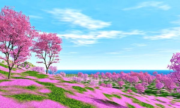 桜 No26