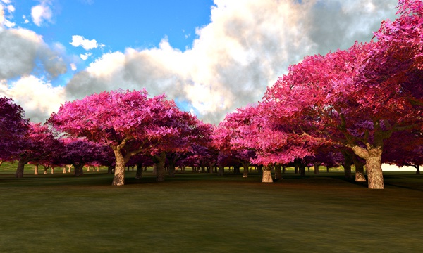 桜 No28