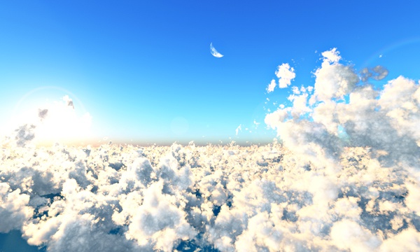雲海 No12