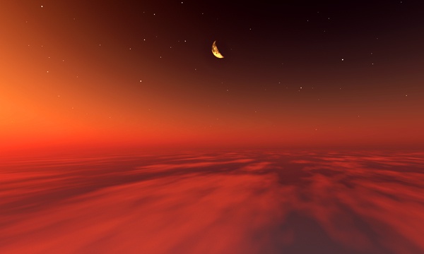雲海 No14